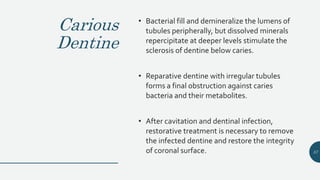 Carious
Dentine
• Bacterial fill and demineralize the lumens of
tubules peripherally, but dissolved minerals
repercipitate at deeper levels stimulate the
sclerosis of dentine below caries.
• Reparative dentine with irregular tubules
forms a final obstruction against caries
bacteria and their metabolites.
• After cavitation and dentinal infection,
restorative treatment is necessary to remove
the infected dentine and restore the integrity
of coronal surface. 57
 