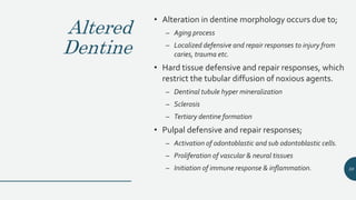 Altered
Dentine
• Alteration in dentine morphology occurs due to;
– Aging process
– Localized defensive and repair responses to injury from
caries, trauma etc.
• Hard tissue defensive and repair responses, which
restrict the tubular diffusion of noxious agents.
– Dentinal tubule hyper mineralization
– Sclerosis
– Tertiary dentine formation
• Pulpal defensive and repair responses;
– Activation of odontoblastic and sub odontoblastic cells.
– Proliferation of vascular & neural tissues
– Initiation of immune response & inflammation. 59
 