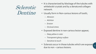 Sclerotic
Dentine
• It is characterized by blockage of the tubules with
whitelockit crystals and by a denatured collagen
network.
• Usually form in Non-carious lesions of tooth;
– Abrasion
– Attrition
– Erosion
– Occlusal stress
• Exposed dentine in non-carious lesion appear;
– Deep yellow in color
– Transparent glossy surface
– Sensitive to touch
• Sclerosis occur in those tubules which are exposed
due to non – carious lesions.
60
 