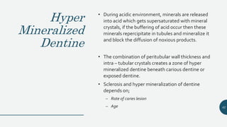 Hyper
Mineralized
Dentine
• During acidic environment, minerals are released
into acid which gets supersaturated with mineral
crystals, if the buffering of acid occur then these
minerals repercipitate in tubules and mineralize it
and block the diffusion of noxious products.
• The combination of peritubular wall thickness and
intra – tubular crystals creates a zone of hyper
mineralized dentine beneath carious dentine or
exposed dentine.
• Sclerosis and hyper mineralization of dentine
depends on;
– Rate of caries lesion
– Age 62
 