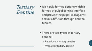 Tertiary
Dentine
• It is newly formed dentine which is
formed at pulpal dentine interface
and provide the pulpal seal against
noxious diffusion through dentinal
tubules.
• There are two types of tertiary
dentine;
– Reactionary tertiary dentine
– Reparative tertiary dentine
63
 
