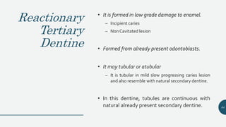 Reactionary
Tertiary
Dentine
• It is formed in low grade damage to enamel.
– Incipient caries
– NonCavitated lesion
• Formed from already present odontoblasts.
• It may tubular or atubular
– It is tubular in mild slow progressing caries lesion
and also resemble with natural secondary dentine.
• In this dentine, tubules are continuous with
natural already present secondary dentine. 64
 