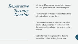 Reparative
Tertiary
Dentine
• It is formed from newly formed odontoblast
like cells generated from stem cell of pulp.
• The formation of these new odontoblast like
cells take about 20 – 40 days.
• The tubules in the reparative dentine is less
regular (atubular) and not continuous with
those of overlying already present secondary
dentine.
• Matrix formed during reparative dentine
formation is called as interface dentine.
65
 