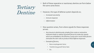 Tertiary
Dentine
• Both of these reparative or reactionary dentine can form below
the same caries lesion.
• However, this type of defense system depends on;
– Increased vascularity
– Immune response
– Inflammation
• Now question arises, from where signals for these responses
arrives.
– Any trauma to dentine pulp complex from caries or restorative
treatment leads to release of growth factors & molecular signals
which are embedded in the dentine or pulp and in result these factors
stimulate the stem cells to produce these defense responses.
– Example of factors;
• Bone morphogenetic factor
• Transforming growth factor beta
• Etc.
66
 