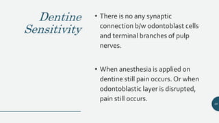 Dentine
Sensitivity
• There is no any synaptic
connection b/w odontoblast cells
and terminal branches of pulp
nerves.
• When anesthesia is applied on
dentine still pain occurs. Or when
odontoblastic layer is disrupted,
pain still occurs.
68
 