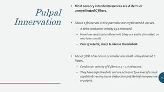Pulpal
Innervation
• Most sensory interdental nerves are A delta or
unmyelinatedC fibers.
• About 13% nerves in the premolar are myelinated A nerves.
– A delta conduction velocity 13.0 m/second.
– Have low sensitization threshold (they are easily stimulated on
very low stimuli)
– Pain of A delta; sharp & intense thunderbolt.
• About 78% of axons in premolar are small unmyelinated C
fibers.
– Conduction velocity of C fibers; 0.5 – 1.o m/second.
– They have high threshold and are activated by a level of stimuli
capable of creating tissue destruction just like high temperature
or pulpitis.
82
 