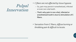 Pulpal
Innervation
• C fibers are not affected by tissue hypoxia
– So, pain may persist in anesthetized, infected
or even non-vital tooth.
– That’s why pain in non-vital, infected or
anesthetized tooth is due to stimulation of C
fibers.
• Sensation from C fibers; diffuse burning or
throbbing pain & difficult to locate.
83
 