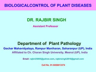 BIOLOGICALCONTROL OF PLANT DISEASES
DR. RAJBIR SINGH
Assistant Professor
Department of Plant Pathology
Gochar Mahavidyalaya, Rampur Maniharan, Saharanpur (UP), India
Affiliated to Ch. Charan Singh University, Meerut (UP), India
Email: rajbir25805@yahoo.com, rajbirsingh2810@gmail.com
Cell No. 91-9456613374
 