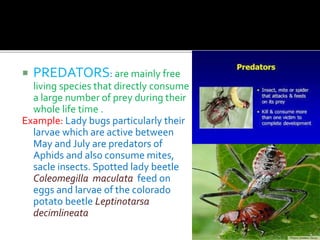 Biological control | PPTX