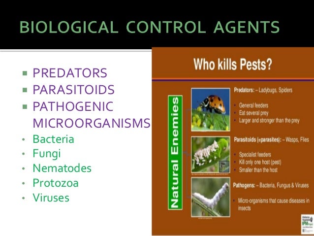 Selecting Non Target Species For Risk Assessment Of Entomophagous Biological Control Agents Evaluation Of The Pronti Decision Support Tool Sciencedirect