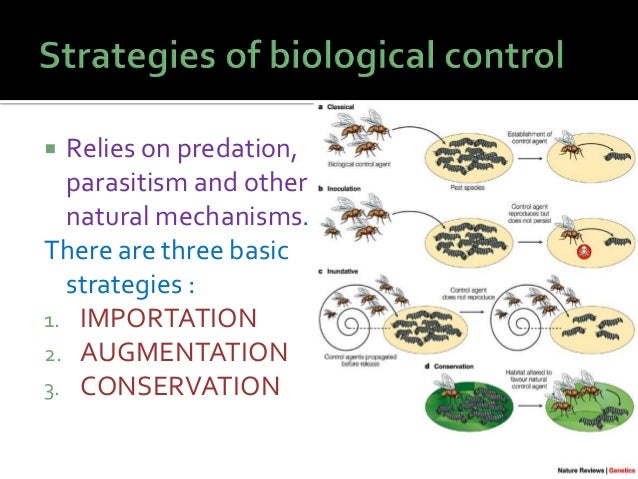 pdf la naturaleza