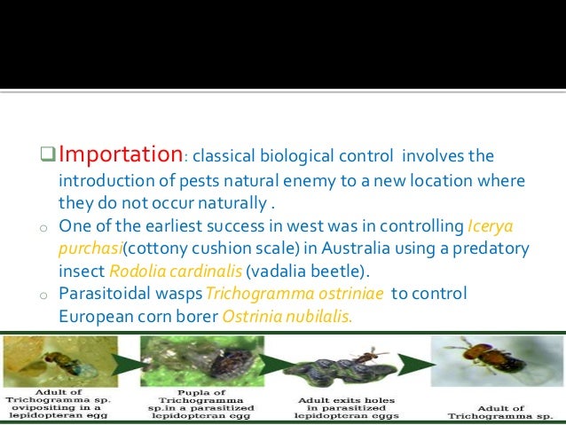 Biological control
