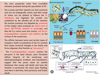 sustainable method Biological control biocontrol.pptx