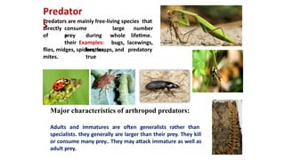 Predator Control Definition Biological control methods and examples.pptx