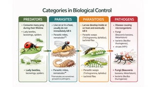 Biological control methods and examples.pptx