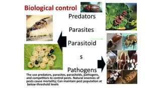 Biological control methods and examples.pptx