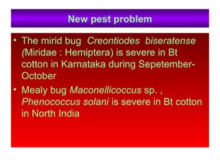 New pest problem
• The mirid bug Creontiodes biseratense
(Miridae : Hemiptera) is severe in Bt
cotton in Karnataka during Sepetember-
October
• Mealy bug Maconellicoccus sp. ,
Phenococcus solani is severe in Bt cotton
in North India
 