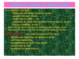 EXTENT OF LOSSES BY INSECT PESTS
BOLLWORM COMPLEX :
 DRIED AND WITHERED SHOOTS : 40-50%
 SQUARE DRYING: 50-80%
 ROSETTED FLOWER : 5%
 SHEDDING OF BUDS AND DESTRUCTION OF BOLLS: 30-40%
 LOCULE DAMAGE: 20-30%
 SEED COTTON YIELD LOSS DUE TO AMERICAN BOLLWORM : 10-45%
 SEED COTTON YIELD LOSS DUE TO BOLLWORM COMPLEX : 50-60%
SUCKING PESTS : 20% LOSS IN SEED COTTON YIELD
 DRYING AND SHEDDING OF YOUNG PLANTS
 LINT CONTAMINATION
 TRANSMISSION OF LEAF CURL VIRUS
 POOR CROP STAND
 DECREASE IN FIBRE QUALITY
 