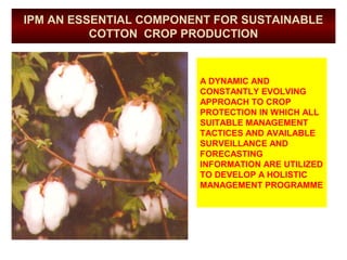 IPM AN ESSENTIAL COMPONENT FOR SUSTAINABLE
COTTON CROP PRODUCTION
A DYNAMIC AND
CONSTANTLY EVOLVING
APPROACH TO CROP
PROTECTION IN WHICH ALL
SUITABLE MANAGEMENT
TACTICES AND AVAILABLE
SURVEILLANCE AND
FORECASTING
INFORMATION ARE UTILIZED
TO DEVELOP A HOLISTIC
MANAGEMENT PROGRAMME
 