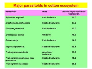 Major parasitoids in cotton ecosystem
Parasitoids Host Maximum parasitization
recorded (%)
Apanteles angaleti Pink bollworm 25.0
Brachymeria nephantidis Spotted bollworm 57.2
Elasmus johnstoni Pink bollworm 12.0
Eretnocerus serius White fly 40.2
Goniozus sp. Pink bollworm 16.7
Rogas aligharensis Spotted bollworm 59.1
Trichogramma chilonis American
bollworm
83.0
Trichogrammatoidea sp. near
guamensis
Spotted bollworm 45.0
Trichogramma achaeae Spotted bollworm 60.8
 
