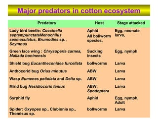 Major predators in cotton ecosystem
Predators Host Stage attacked
Lady bird beetle: Coccinella
septempunctataMenochilus
sexmaculatus, Brumodies sp. ,
Scymnus
Aphid
All bollworm
species,
Egg, neonate
larva,
Green lace wing : Chrysoperla carnea,
Mallada boninensis
Sucking
insects
Egg, nymph
Shield bug Eucantheconidea furcellata bollworms Larva
Anthocorid bug Orius minutus ABW Larva
Wasp Eumenes petiolata and Delta sp. ABW Larva
Mirid bug Nesidiocoris tenius ABW,
Spodoptera
Larva
Syrphid fly Aphid Egg, nymph,
Adult
Spider: Oxyopes sp., Clubionia sp.,
Thomisus sp.
bollworms Larva
 