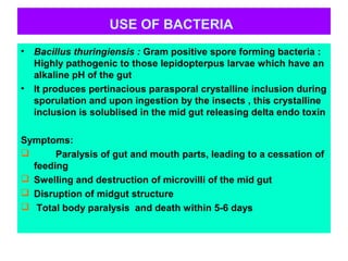 USE OF BACTERIA
• Bacillus thuringiensis : Gram positive spore forming bacteria :
Highly pathogenic to those lepidopterpus larvae which have an
alkaline pH of the gut
• It produces pertinacious parasporal crystalline inclusion during
sporulation and upon ingestion by the insects , this crystalline
inclusion is solublised in the mid gut releasing delta endo toxin
Symptoms:
 Paralysis of gut and mouth parts, leading to a cessation of
feeding
 Swelling and destruction of microvilli of the mid gut
 Disruption of midgut structure
 Total body paralysis and death within 5-6 days
 