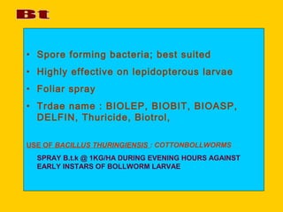 • Spore forming bacteria; best suited
• Highly effective on lepidopterous larvae
• Foliar spray
• Trdae name : BIOLEP, BIOBIT, BIOASP,
DELFIN, Thuricide, Biotrol,
USE OF BACILLUS THURINGIENSIS : COTTONBOLLWORMS
SPRAY B.t.k @ 1KG/HA DURING EVENING HOURS AGAINST
EARLY INSTARS OF BOLLWORM LARVAE
 