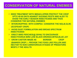 CONSERVATION OF NATURAL ENEMIES
 SEED TREATMENT WITH IMIDACLOPRID PROTECT THE CROP
UPTO 40-50 DAYS AGAINST SUCKING PESTS AND ALSO TO
AVOID THE EARLY SEASON INSECTICIDES AND THUS
CONSERVE THE NATURAL ENEMIES
 INTERCROPPING WITH COWPEA CONSERVE THE NE(LB,GLW)
(ECOFEAST CROP)
 AVOID DUST FORMULATION AND BROAD SPECTRUM
INSECTICIDES
 ERECT BIRD PERCHES(@ 20/HA) TO ENCOURAGE
INSECTIVORUS BIRD LIKE BLACK DRONGO,MYNA,BLUE JAY
 GROW CASTOR/ MAIZE AS BORDER CROP
(BANKER CROP ) : PROVIDE THE FOOD LIKE POLLEN AND
NECTAR TO NON CARNIVOROUS STAGES OF PREDATORS
MOSTLY THE ADULTS
 