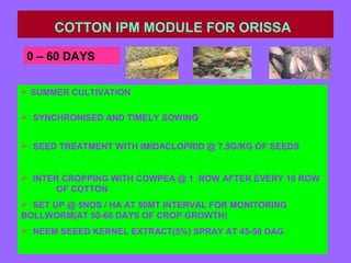 COTTON IPM MODULE FOR ORISSA
 SUMMER CULTIVATION
 SYNCHRONISED AND TIMELY SOWING
 SEED TREATMENT WITH IMIDACLOPRID @ 7.5G/KG OF SEEDS
 INTER CROPPING WITH COWPEA @ 1 ROW AFTER EVERY 10 ROW
OF COTTON
 SET UP @ 5NOS / HA AT 50MT INTERVAL FOR MONITORING
BOLLWORM(AT 50-60 DAYS OF CROP GROWTH)
 NEEM SEEED KERNEL EXTRACT(5%) SPRAY AT 45-50 DAG
0 – 60 DAYS
 