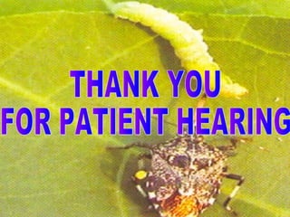 Biological control in cotton