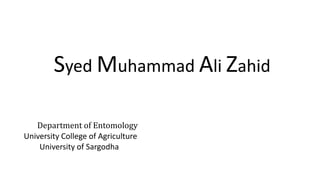 Syed Muhammad Ali Zahid
Department of Entomology
University College of Agriculture
University of Sargodha
 