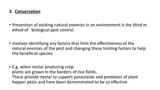 3. Conservation
• Prevention of existing natural enemies in an environment is the third m
ethod of biological pest control.
• Involves identifying any factors that limit the effectiveness of the
natural enemies of the pest and changing these limiting factors to help
the beneficial species
• E.g. when nectar producing crop
plants are grown in the borders of rice fields.
These provide nectar to support parasitoids and predators of plant
hopper pests and have been demonstrated to be so effective.
 