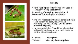History
• Term “Biological control" was first used in
(1919) by “Harry Scott Smith”
in meeting of American Association of
Economic Entomologists, California
• The first reported by Chinese botanist Ji Han
(263-307),in his book, (ca. 304 AD)
Nan Fang Cao Mu Zhuang” (Plants of the
Southern Regions)
• He mentioned that “Jiaozhi people used &
sell reddish-yellow ants and their nests, to
control citrus insect pests
C. name: Huang Gan
T. name: Oecophylla smaragdina
 