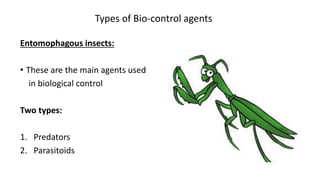 Types of Bio-control agents
Entomophagous insects:
• These are the main agents used
in biological control
Two types:
1. Predators
2. Parasitoids
 