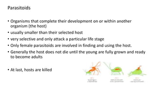 Parasitoids
• Organisms that complete their development on or within another
organism (the host)
• usually smaller than their selected host
• very selective and only attack a particular life stage
• Only female parasitoids are involved in finding and using the host.
• Generally the host does not die until the young are fully grown and ready
to become adults
• At last, hosts are killed
 