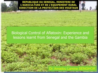 Biological Control of Aflatoxin: Experience and
lessons learnt from Senegal and the Gambia
Dr. Amadou Lamine SENGHOR
REPUBLIQUE DU SENEGAL, MINISTERE DE
L’AGRICULTURE ET DE L’EQUIPEMENT RURAL
DIRECTION DE LA PROTECTION DES VEGETAUX
 