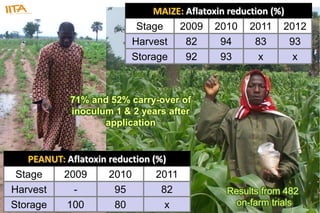 Biological control of aflatoxins