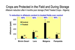 Biological control of aflatoxins