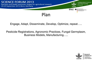 Biological control of aflatoxins
