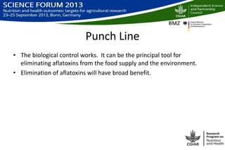 Biological control of aflatoxins