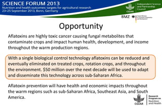 Biological control of aflatoxins