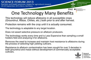 Biological control of aflatoxins