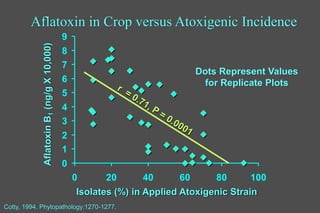 Biological control of aflatoxins