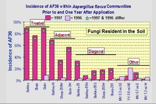 Biological control of aflatoxins