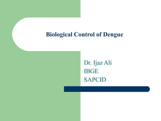 Biological Control of Dengue Dr. Ijaz Ali IBGE SAPCID 