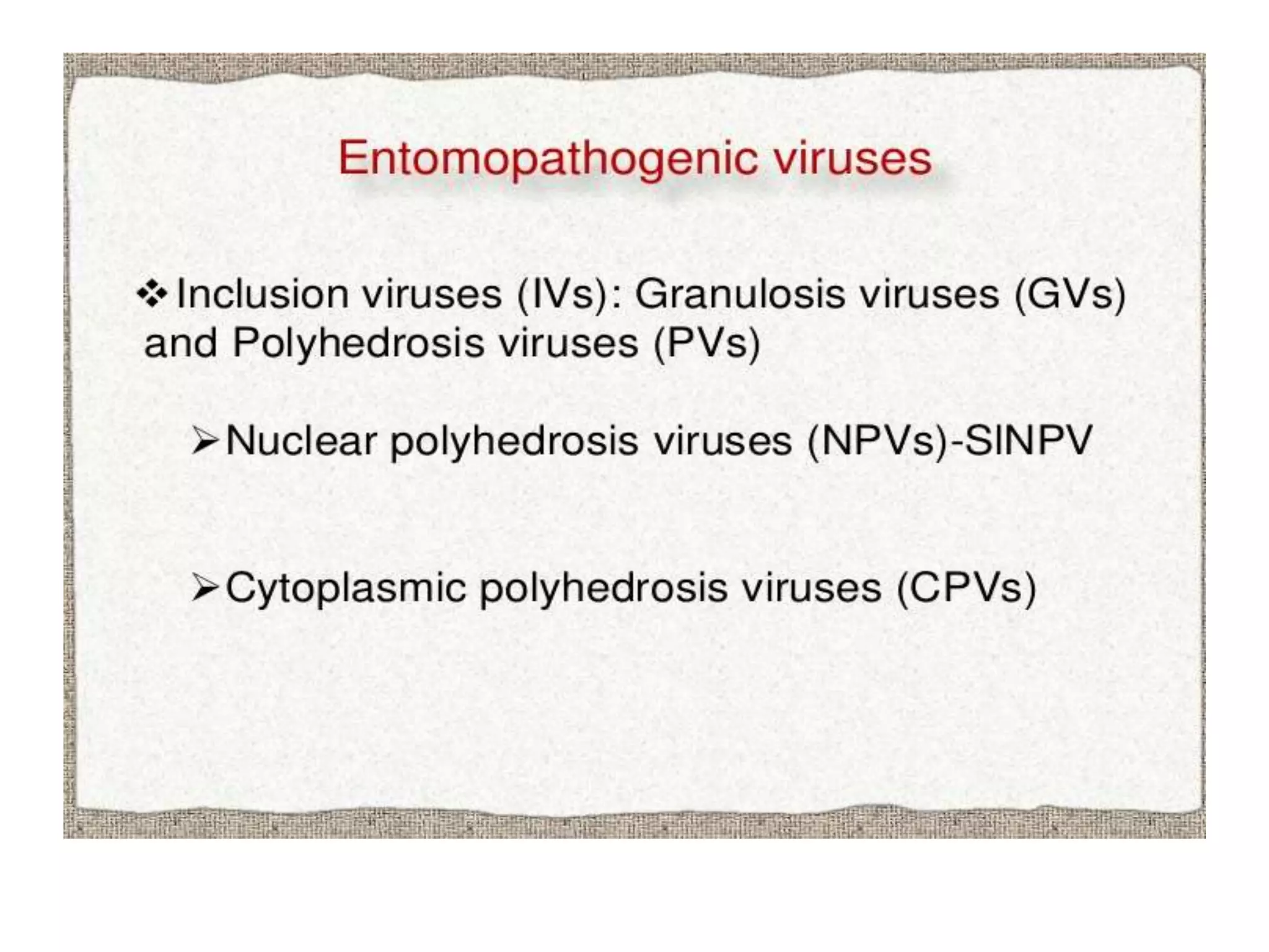 Biological control of insects pests by allah dad khan PPT