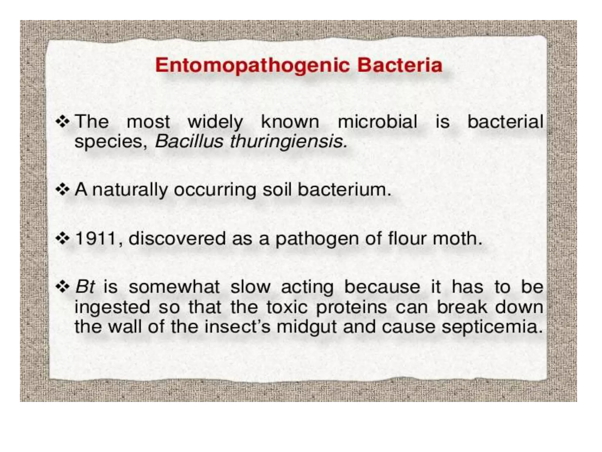 Biological control of insects pests by allah dad khan PPT