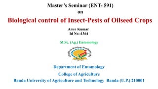 Department of Entomology
College of Agriculture
Banda University of Agriculture and Technology Banda (U.P.) 210001
Biological control of Insect-Pests of Oilseed Crops
Master’s Seminar (ENT- 591)
on
Arun Kumar
Id No :1364
M.Sc. (Ag.) Entomology
 