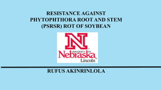 RESISTANCE AGAINST
PHYTOPHTHORA ROOT AND STEM
(PSRSR) ROT OF SOYBEAN
RUFUS AKINRINLOLA
 