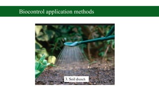 biological control of plantpathogens.pptx